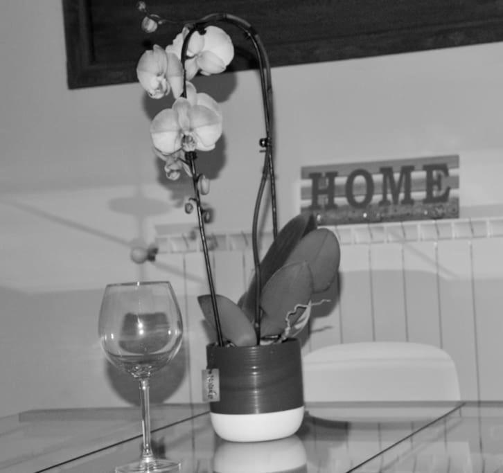 Brand New Apartment Флоренция Екстериор снимка